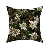 vintage tropical passionflowers reconstructed by robert john thorton, antiqued green leaves and nostalgic beautiful tropical jungle blossoms black double layer