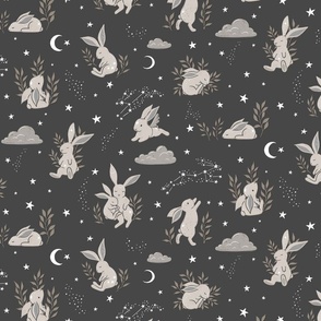 Star Bunny Dreams - on Charcoal