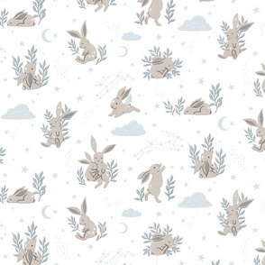 Star Bunny Dreams - on White