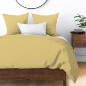 Yosemite Yellow 215 e2cb85 Solid Color Benjamin Moore Classic Colours