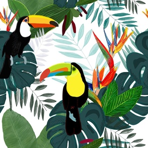 Toucan and bird of paradise flowers Tropical Forest colorful summer pattern