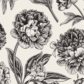Beautiful, black white, pale blue, pastels,toile, French chic, country chic,decoupage,Victorian,chic,cute,whimsical,modern,collage,trendy,vintage,florals,lady,city scape, roses,elegant,fun, classy,Beautiful,colorful,peacock,bird,nature,florals,flowers,nat