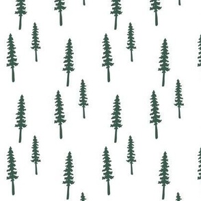 Tall Trees in Teal