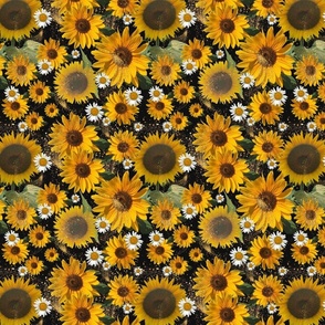 Sunflowers and Daisies