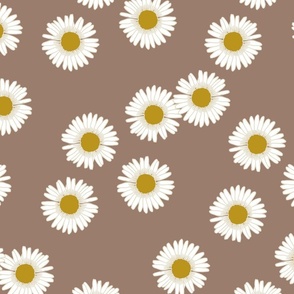 Daisies in Mocha