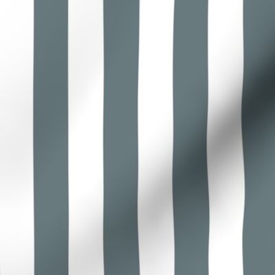 35 Slate Gray Blue- Vertical Stripes- 1 Inch- Awning Stripes- Cabana Stripes- Petal Solids Coordinate- Grey- Grayish Blue- Muted Blue- Coastal- Neutral- Medium
