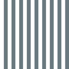 35 Slate Gray Blue- Vertical Stripes- 1 Inch- Awning Stripes- Cabana Stripes- Petal Solids Coordinate- Grey- Grayish Blue- Muted Blue- Coastal- Neutral- Medium