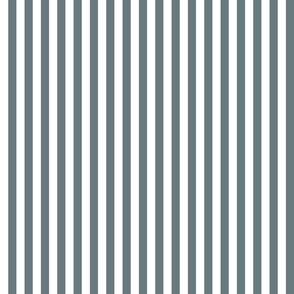 35 Slate Gray Blue- Vertical Stripes- Half Inch- Awning Stripes- Cabana Stripes- Petal Solids Coordinate- Grey- Grayish Blue- Muted Blue- Coastal- Neutral- Small