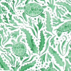 turtles and seaweed kelp green - large scale