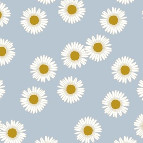 Daisies in Baby blue