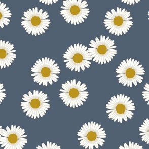 Daisies in Dark blue