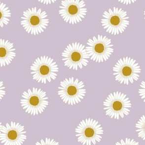 Daisies in Lavender 