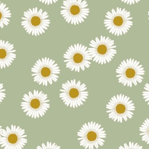 Daisies in Green