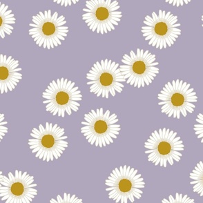 Daisies in Purple 