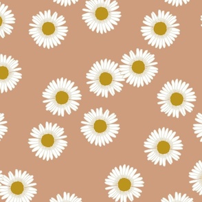 Daisies in Coral rose