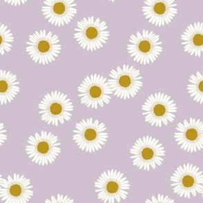 Daisies in Lavender - medium 