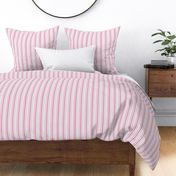thin even stripes, vertical, baby pink, carnation, rose, raspberry, dove gray, white