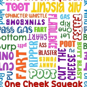 Large Scale Colorful Fart Words on White