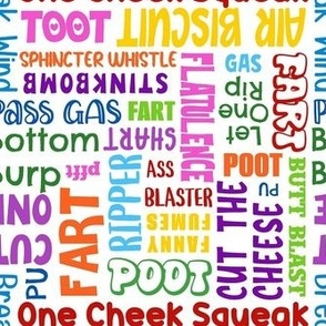 Medium Scale Colorful Fart Words on White