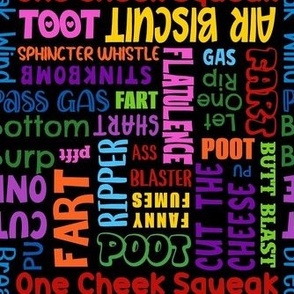 Medium Scale Colorful Fart Words on Black