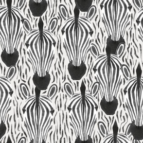 Zebra Herd Animal Print - large scale