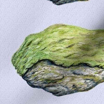 mossy rock, jumbo large scale, lime chartreuse light apple grass green brown baby blue lavender lilac violet pastel gray grey nature botanical rocks cottagecore rustic