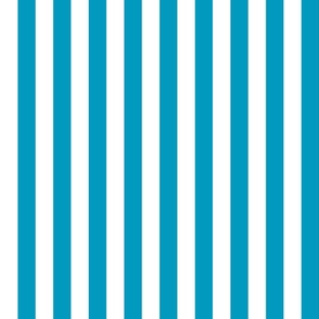 48 Caribbean - Vertical Stripes- 1 Inch- Awning Stripes- Cabana Stripes- Petal Solids Coordinate- Turquoise Blue- Teal- Summer- Medium