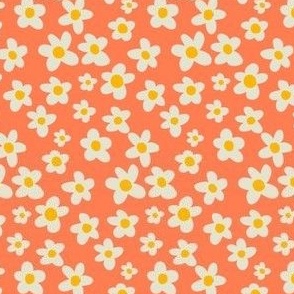 Daisies flowers in orange coral background | small scale