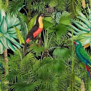 Tropical,jungle,toucan,parrot,birds,exotic,palm trees