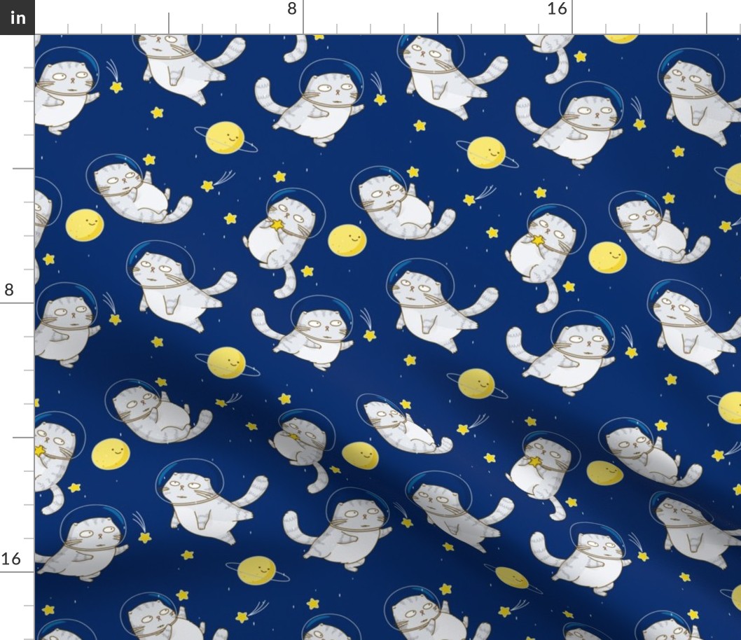 Cat Selfies From Space on Vacation Medium Motif