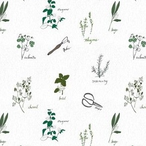 garden herb, small scale, hand drawn, garden tools, cooking, green and white, cilantro, sage, rosemary, basil,