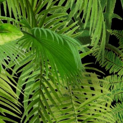 Tropical leaves,jungle,exotic,palm trees 