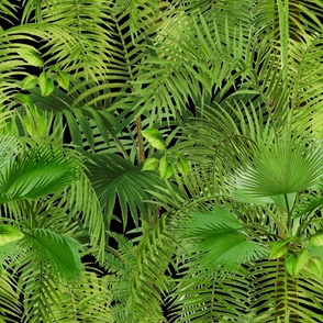 Tropical leaves,jungle,exotic,palm trees 
