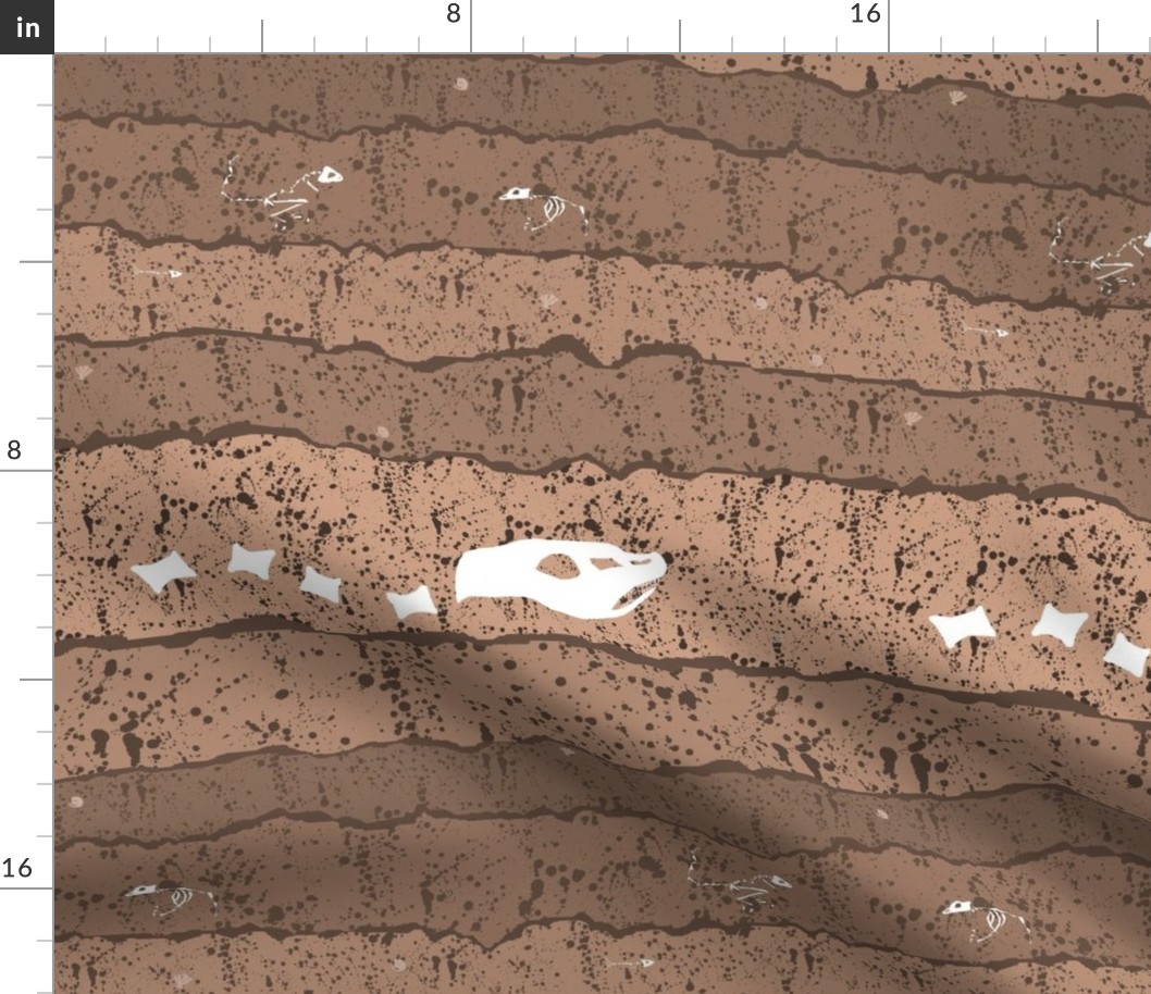 Geologic Record