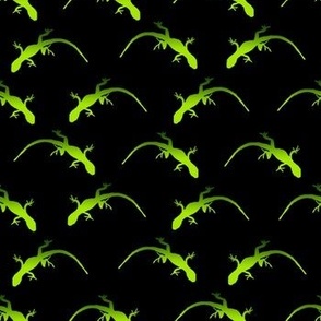 Gecko Pattern