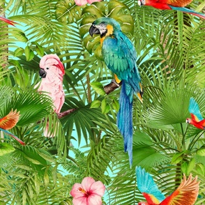Tropical,jungle,birds,parrot,exotic,palm trees 