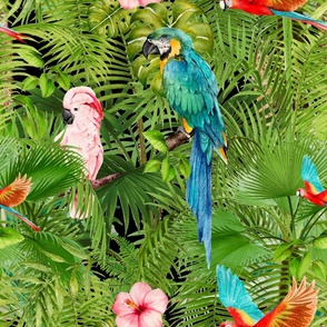 Tropical,jungle,birds,parrot,exotic,palm trees