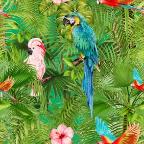 Tropical,jungle,birds,parrot,exotic,palm trees