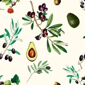 Olives,mediterranean art,avocado,vintage art