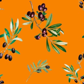 Olives,mediterranean art,vintage art