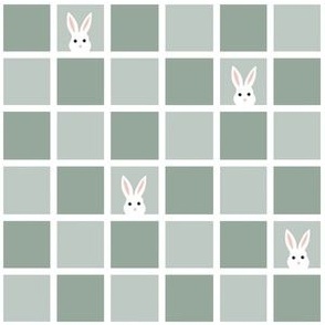 Peek a Boo Bunny Check  - Sage - Standard 6x6 Inch