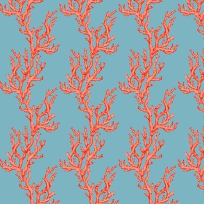 Sea coral stripe on blue