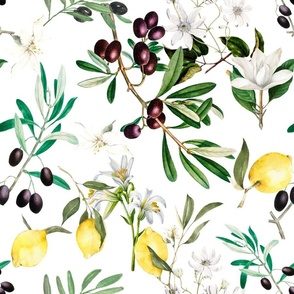 Olives,lemon,citrus,white flowers,mediterranean art,vintage art