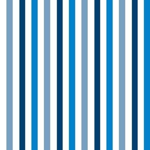Poppies coordinate / blue / stripe