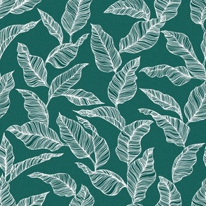 Line Drawn Tropical Leaves in Jade (Medium Scale)