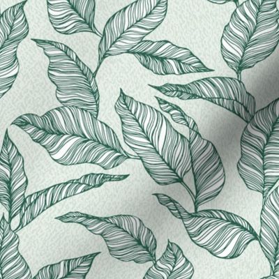 Line Drawn Tropical Leaves in Sage Green (Medium Scale)