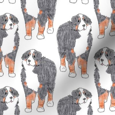 Standing Bernese mountain dog sketch