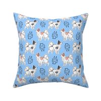 Posing Papillons and paw prints - blue