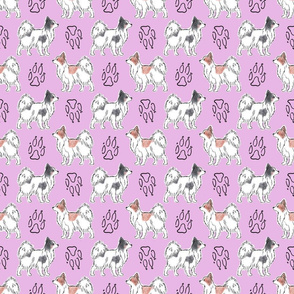 Posing Papillons and paw prints - pink
