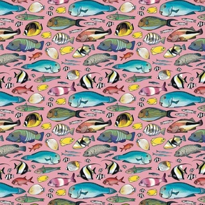 Pacific Reef Fishes (pink)